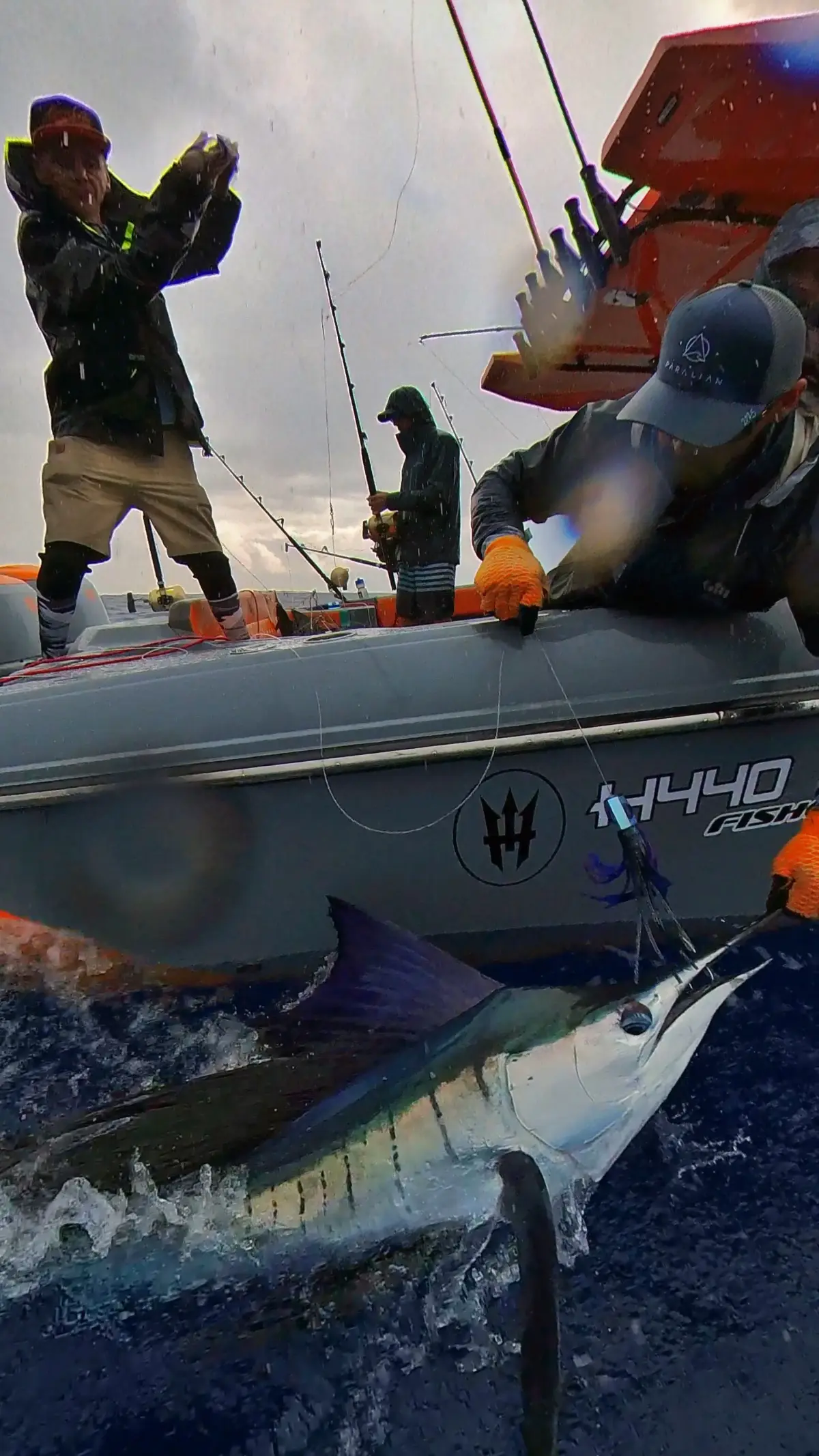 Тур Marlin Special 8h