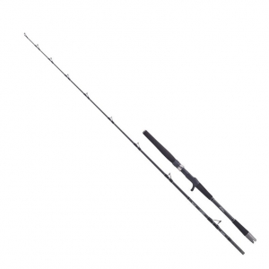 Спиннинг морской BALZER 71 NORTH BOAT 25