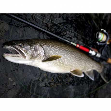 Без имени-77.jpg